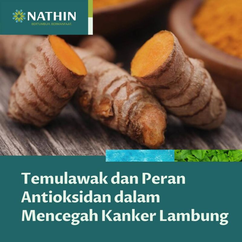 Manfaat Temulawak Untuk Lambung Maklon Nathin