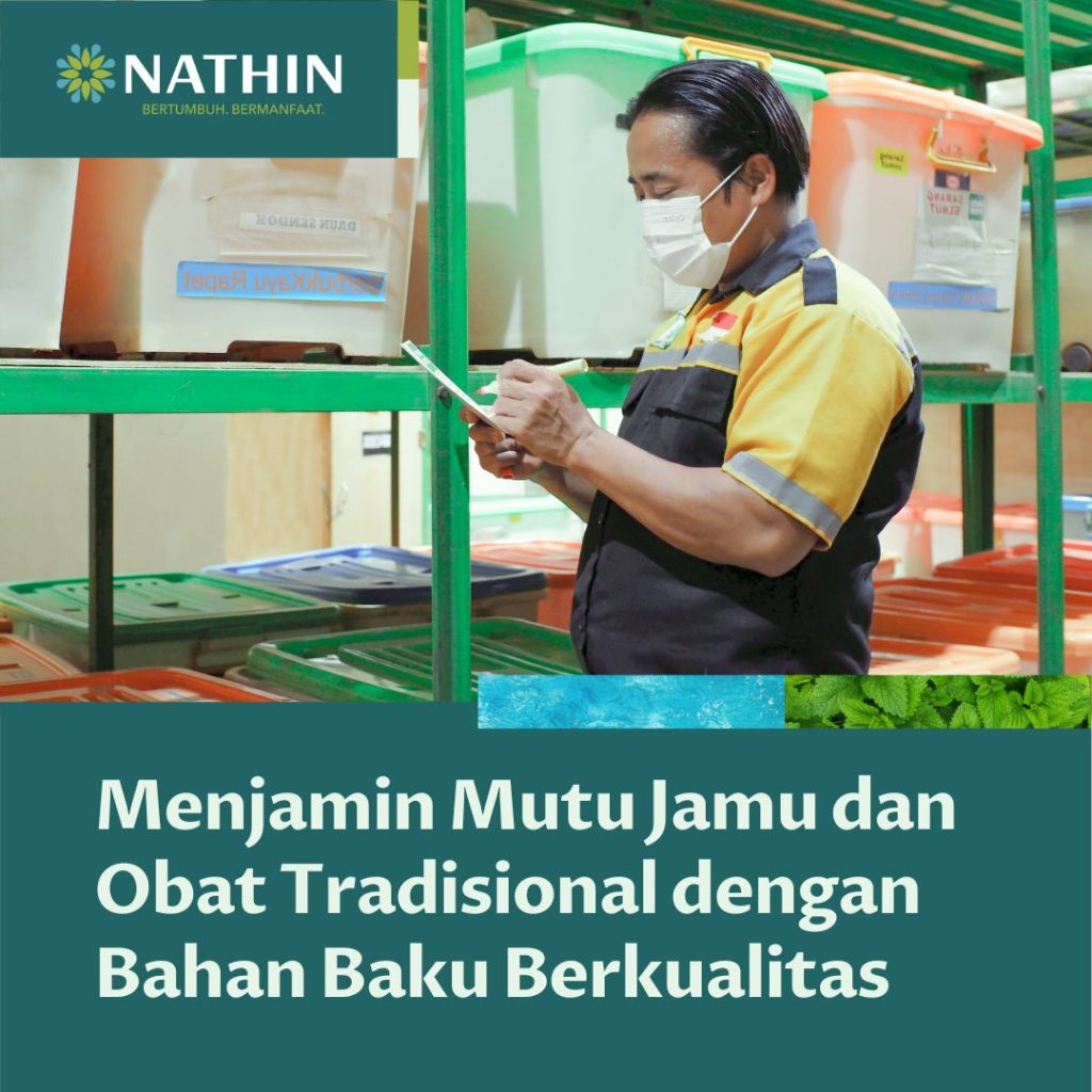 Memilih Bahan Baku Berkualitas di Gudang Simplisia