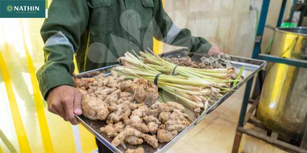 pabrik jamuTradisional maklon herbal