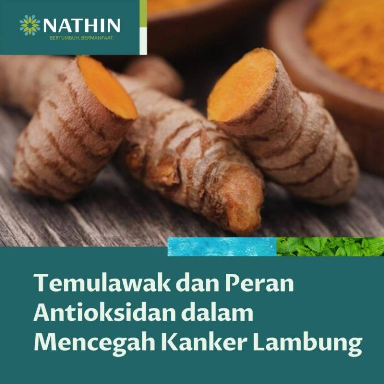 Manfaat Temulawak untuk Lambung