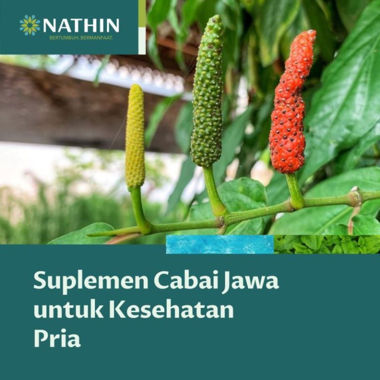 herbal stamina pria