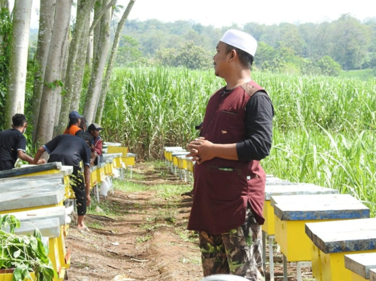 Jasa maklon madu herbal