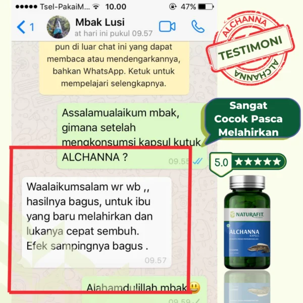 Jual kapsul kutuk