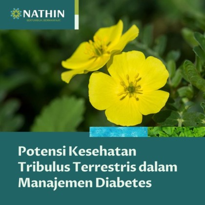 Manfaat Tribulus